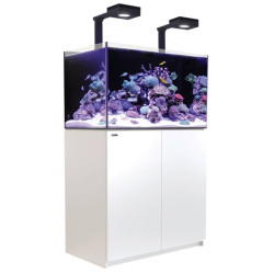 RED SEA - Reefer MAX - 250 G3 -
