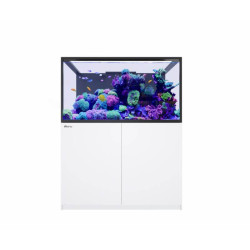 RED SEA – Reefer MAX - S-550 G3 -