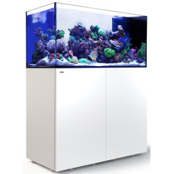 RED SEA - Reefer Peninsula 350 G3 - deluxe -