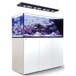 RED SEA – Reefer Peninsula S 950 G3 - deluxe-