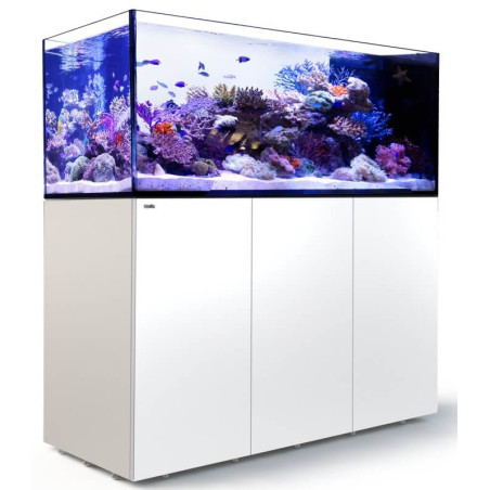 RED SEA - Reefer MAX - Peninsula S-700 G3 -
