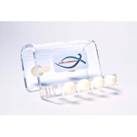 Support de fixation pour...