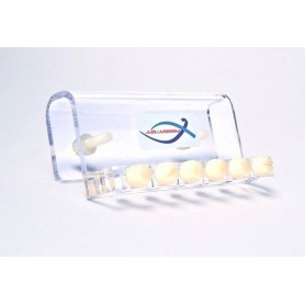 Support de fixation pour...