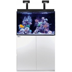 RED SEA – Max E 260 –...