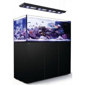 RED SEA – Reefer peninsula...