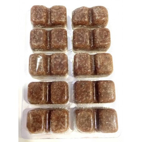 Artemia premium congelés, plaquette de 100g