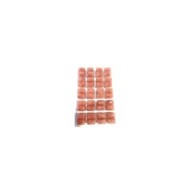 Krill pacifica congelés, plaquette de 100g