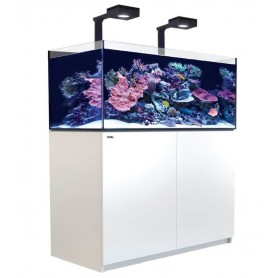 RED SEA – Reefer deluxe 425 XL - 2 reefled 160 – meuble blanc