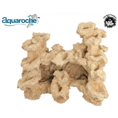 Grotte basse arrière plat 9536