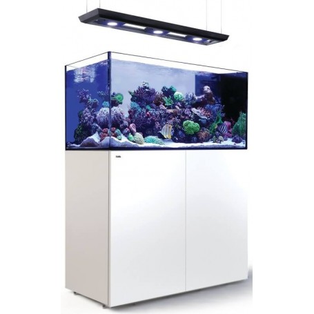 RED SEA – Reefer peninsula 500 - deluxe (2 reefled 160) - meuble blanc