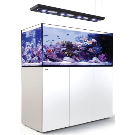 RED SEA – Reefer peninsula 650 - deluxe (3 reefled 160S) - meuble blanc