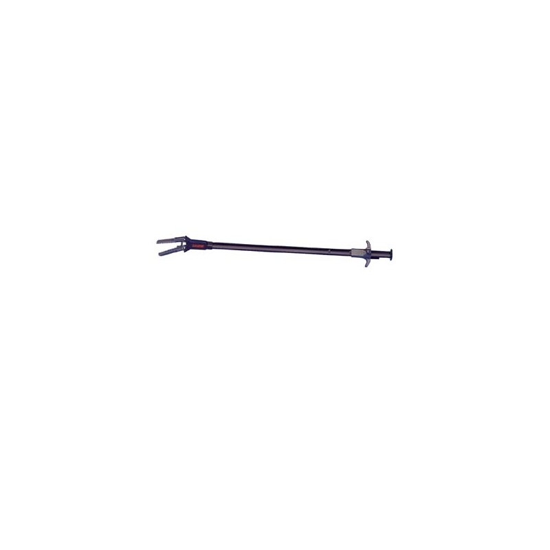 PINCE – Eheim 60 cm
