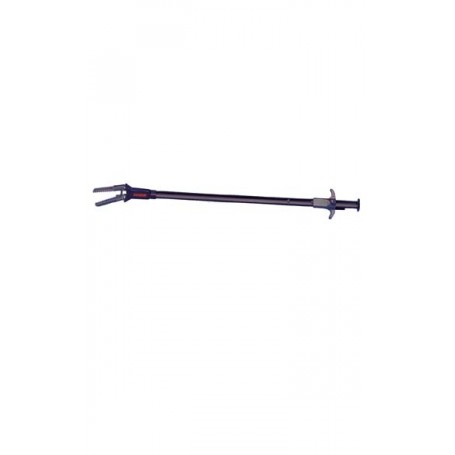 PINCE – Eheim 60 cm